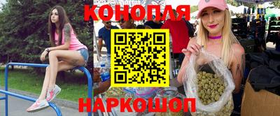 индика Новоалександровск