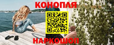индика Новоалександровск