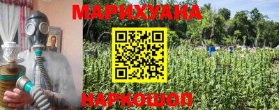 индика Новоалександровск