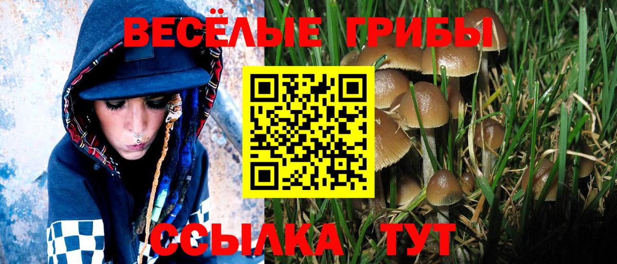 Долгопрудный  Галлюциногенные грибы мицелий  цена наркотик  Вход с VPN 