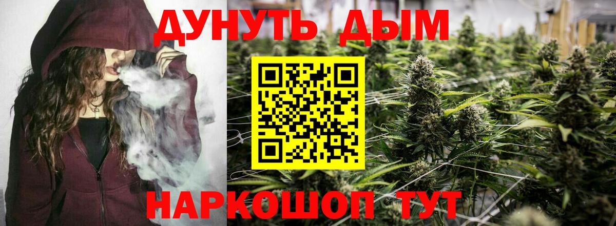 Долгопрудный  Канабис сатива  Бошки марихуана сатива  Каннабис план  Вход с VPN 